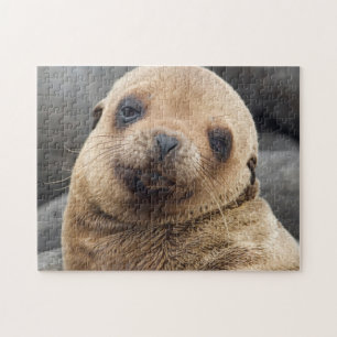 Südamerika, Ecuador, Galapagos-Inseln Puzzle