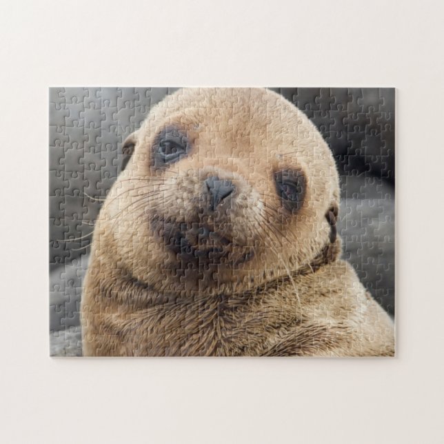 Südamerika, Ecuador, Galapagos-Inseln Puzzle (Horizontal)