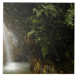 Südamerika, Ecuador, Osthang der Fliese