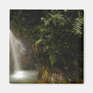 Südamerika, Ecuador, Osthang der Magnet
