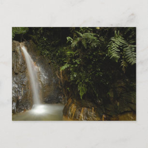 Südamerika, Ecuador, Osthang der Postkarte