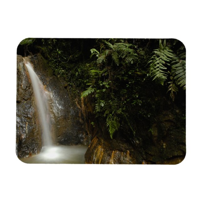 Südamerika, Ecuador, östlicher Abhang der Magnet (Horizontal)