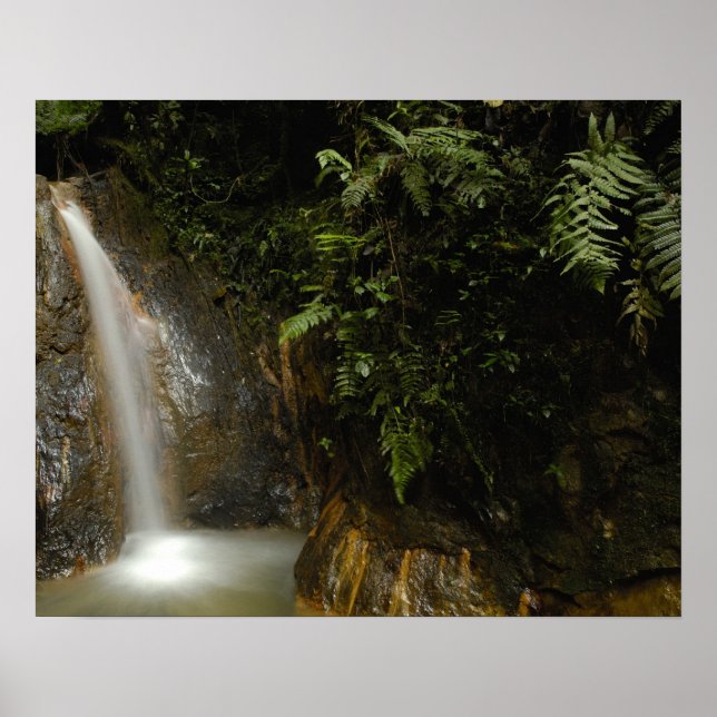 Südamerika, Ecuador, östlicher Abhang der Poster (Vorne)