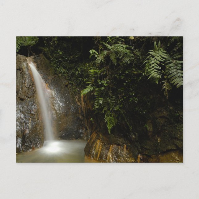 Südamerika, Ecuador, östlicher Abhang der Postkarte (Vorderseite)