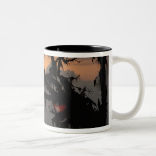 Südamerika, Ecuador, Wolkenwaldszene in Zweifarbige Tasse