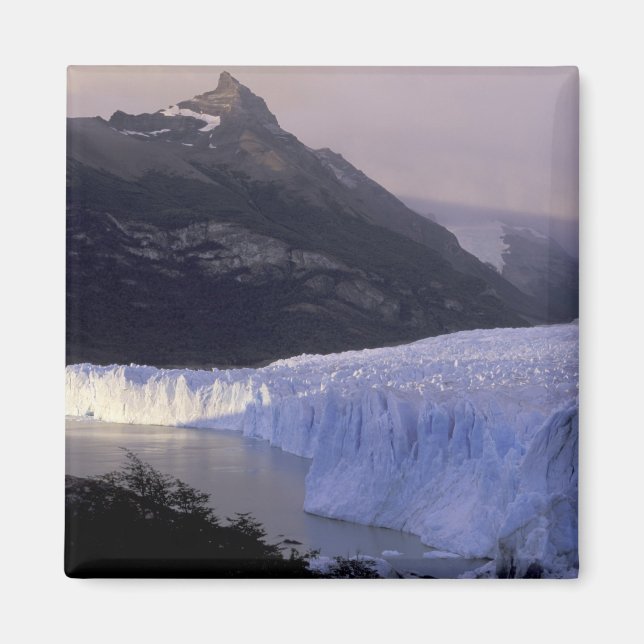 Südamerika, Patagonien, Argentinien, Parque Magnet (Vorne)