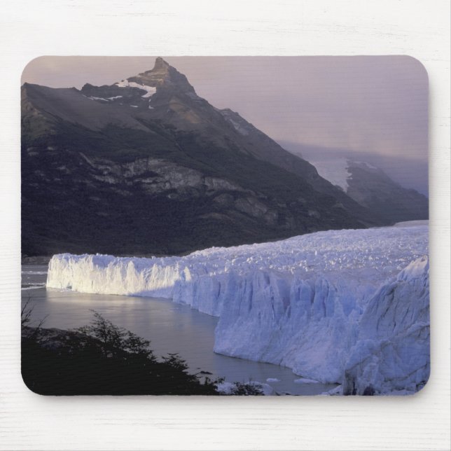 Südamerika, Patagonien, Argentinien, Parque Mousepad (Vorne)