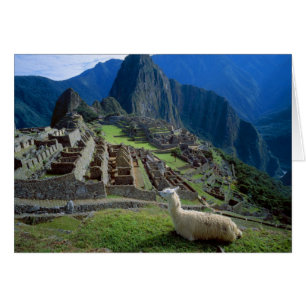 Südamerika, Peru. Ein Lama ruht auf einem Hügel