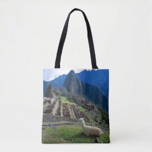 Südamerika, Peru. Ein Lama ruht auf einem Hügel
