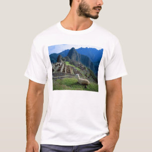 Südamerika, Peru. Ein Lama ruht auf einem Hügel T-Shirt