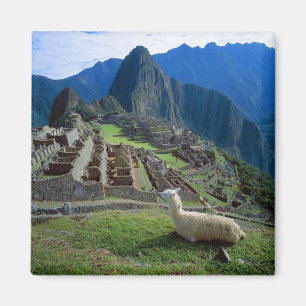 Südamerika, Peru. Ein Lama ruht sich auf einem Hüg Magnet