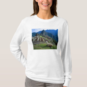Südamerika, Peru. Eine Lama-Erholung auf einem Hüg T-Shirt