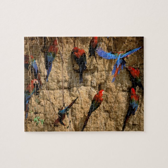 Südamerika, Peru, Manu-Nationalpark, Puzzle (Horizontal)