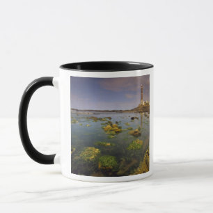 Südamerika, Uruguay, Punta Jose Ignacio, Tasse