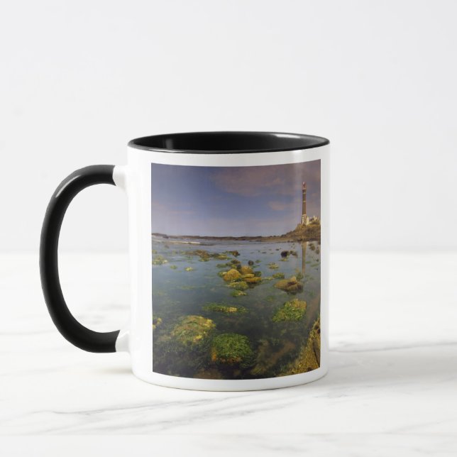 Südamerika, Uruguay, Punta Jose Ignacio, Tasse (Links)