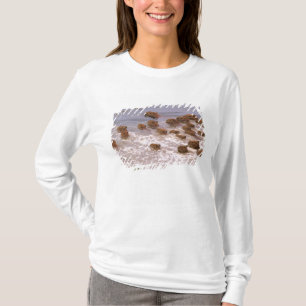 Südamerika, Venezuela, Llano-Region. T-Shirt