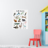 Südamerikanische Tiere | BILDUNG