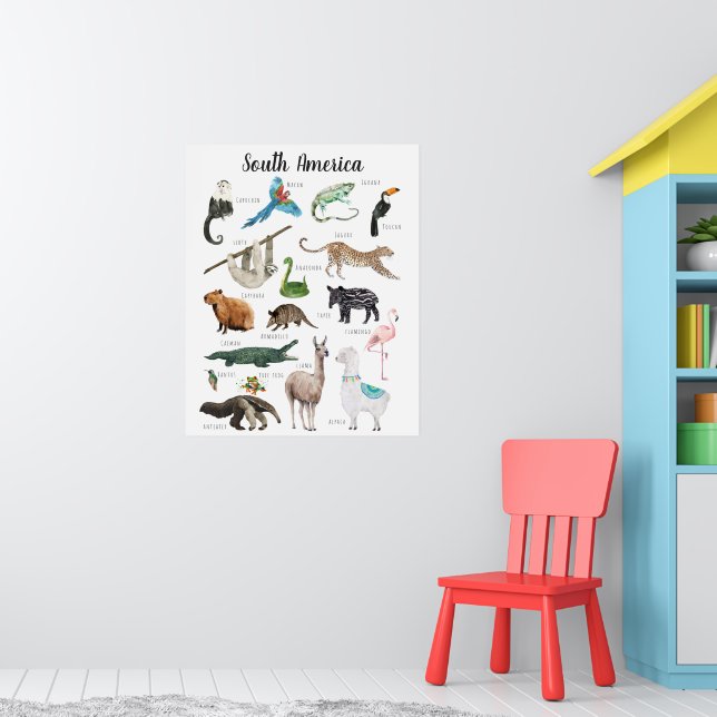Südamerikanische Tiere | BILDUNG Poster (Kinderzimmer 1)