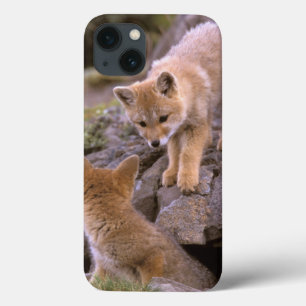 Südamerikanischer Graufuchs (Lycalopex griseus) Pa Case-Mate iPhone Hülle