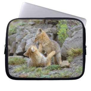 Südamerikanischer Graufuchs (Lycalopex griseus) Pa Laptopschutzhülle