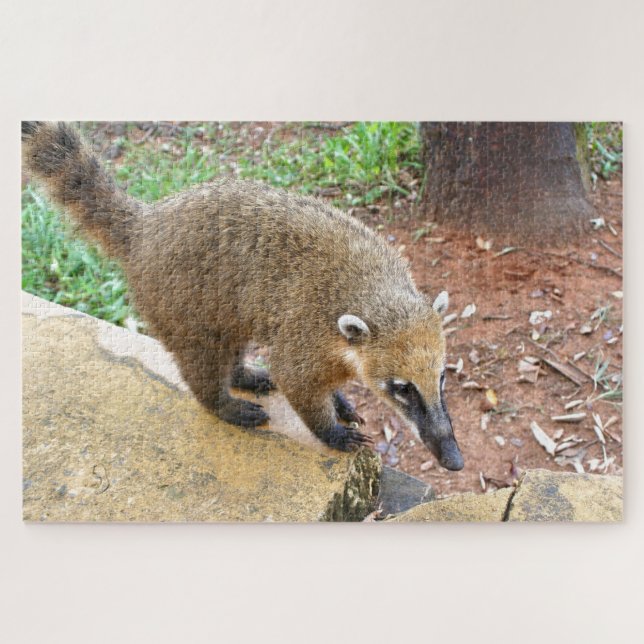 Südamerikanisches Coatimundi-Tier, Argentinien Puzzle (Horizontal)