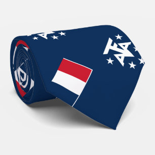 Südantarktische Landschaften in Frankreich Krawatte