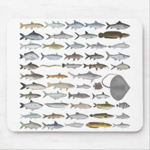 Südasien-Süßwasserfischgruppe Mousepad