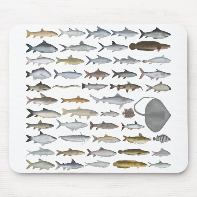 Südasien-Süßwasserfischgruppe Mousepad (Vorne)