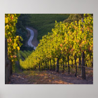 Südaustralien, Adelaide Hills, Summertown. 2