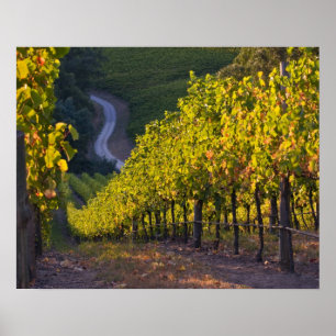 Südaustralien, Adelaide Hills, Summertown. 2 Poster