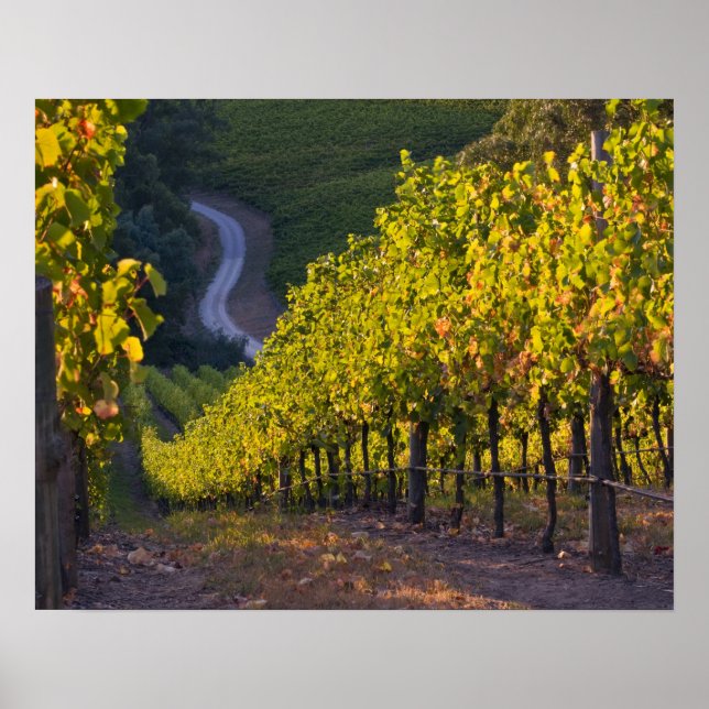 Südaustralien, Adelaide Hills, Summertown. 2 Poster (Vorne)