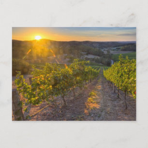 Südaustralien, Adelaide Hills, Summertown Postkarte