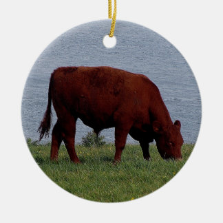 SüdDevon-Kuh auf Fernküstenlinie Keramik Ornament