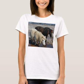 SüdDevon zwei die Shetlandinseln-Ponys auf Strand T-Shirt