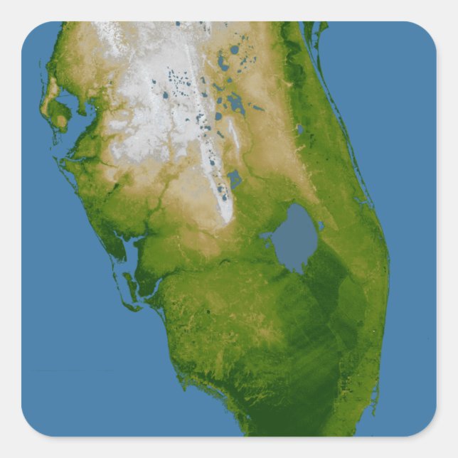 Südflorida Quadratischer Aufkleber (Vorderseite)