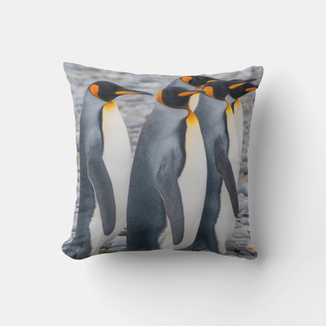 Südgeorgien. Königspinguine Kissen (Vorderseite)