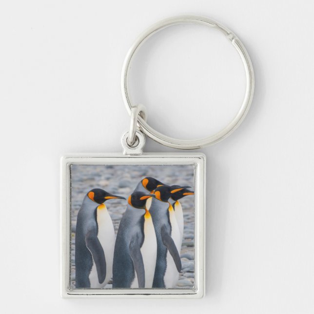 Südgeorgien. Königspinguine Schlüsselanhänger (Vorne)