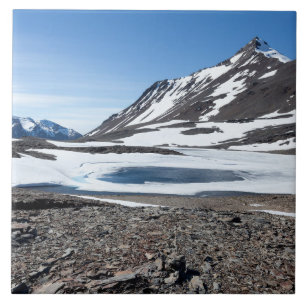 Südgeorgische Landschaft Fliese