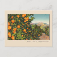 Südkalifornien Orange Grove Vintag Linen