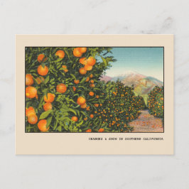 Südkalifornien Orange Grove Vintag Linen Postkarte