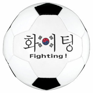 Südkorea kämpft Hangul und Flagge Unterstützer Fußball