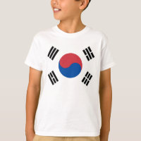 Südkorea Seoul Asien Koreanische Flagge Reise