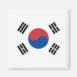 Südkoreanische Flagge Magnet