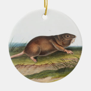 SüdkrautRat, Illustration von Shrew Mole Keramik Ornament