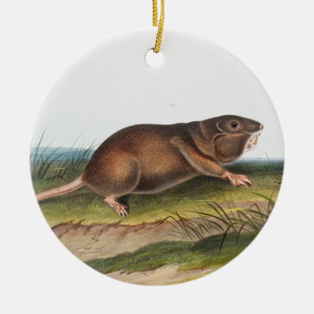 SüdkrautRat, Illustration von Shrew Mole Keramik Ornament (Vorne)