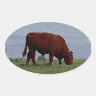 Südküste von Devon an entlegenen Küsten Ovaler Aufkleber