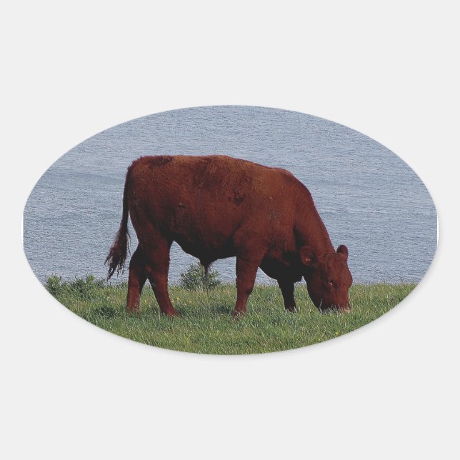 Südküste von Devon an entlegenen Küsten Ovaler Aufkleber (Vorderseite)