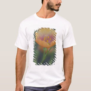 Südlich von Devine Texas an der Interstate 35 T-Shirt