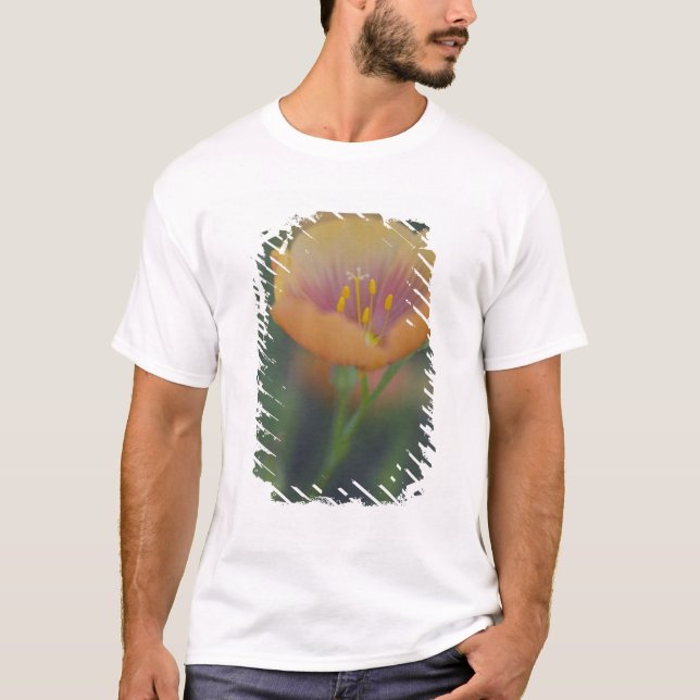 Südlich von Devine Texas entlang Interstate 35 T-Shirt (Vorderseite)