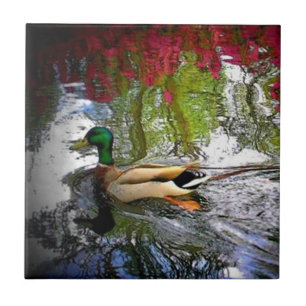 Südliche Enten Fliese